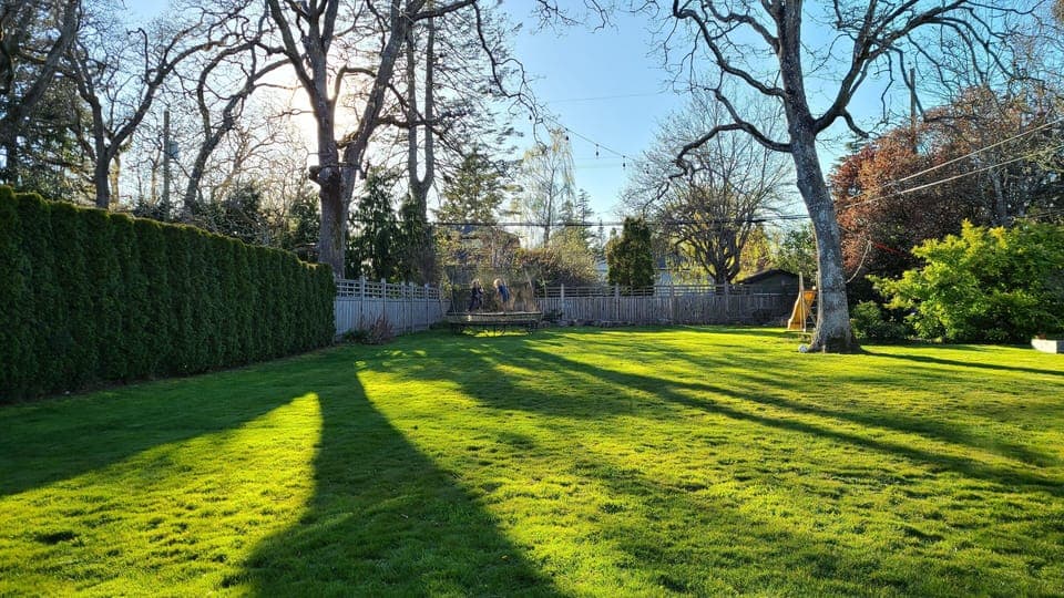 large private back yard