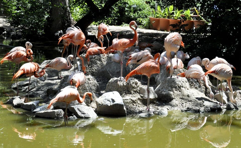 Discover nearby wildlife moments for an unforgettable daytime adventure.