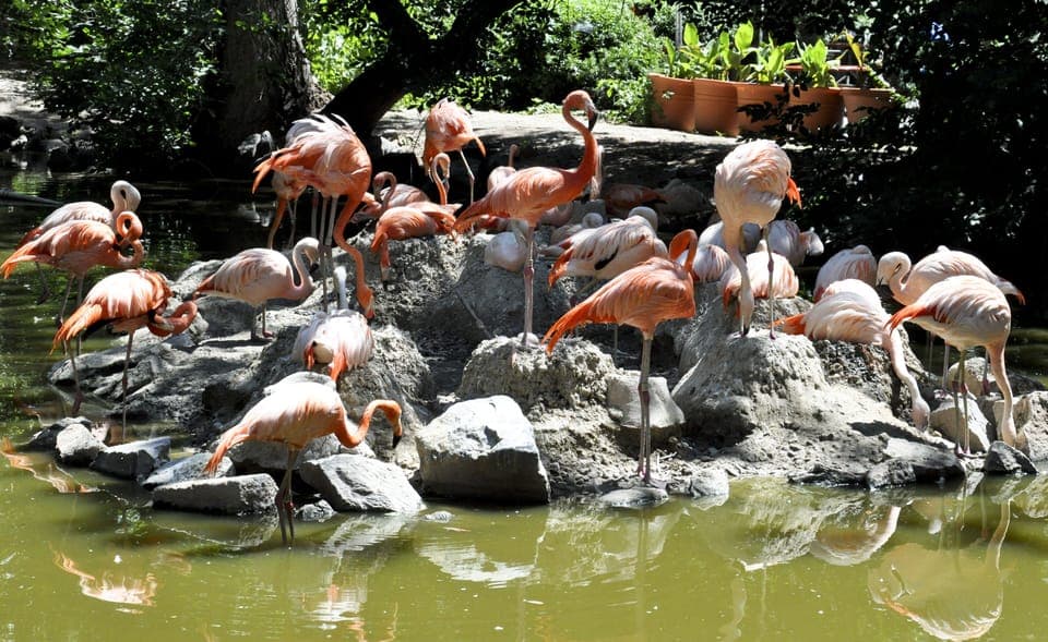 Discover nearby wildlife moments for an unforgettable daytime adventure.