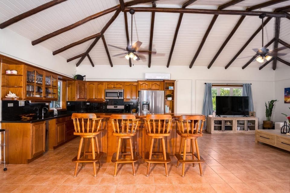 Dolphin Beach - Private Oceanfront 4-Bed Villa w/Pool on Huge Lot (3677)