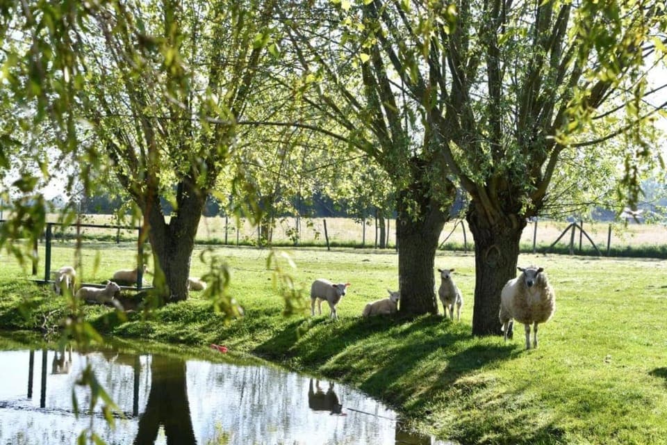 Region [summer] (>5 km)