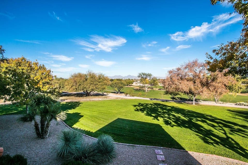 Patio and deck views