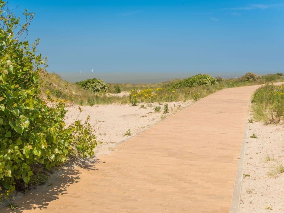 Sky, Plant, Plant Community, Ecoregion, Azure, Natural Landscape, Road Surface, Landscape, Slope, Thoroughfare