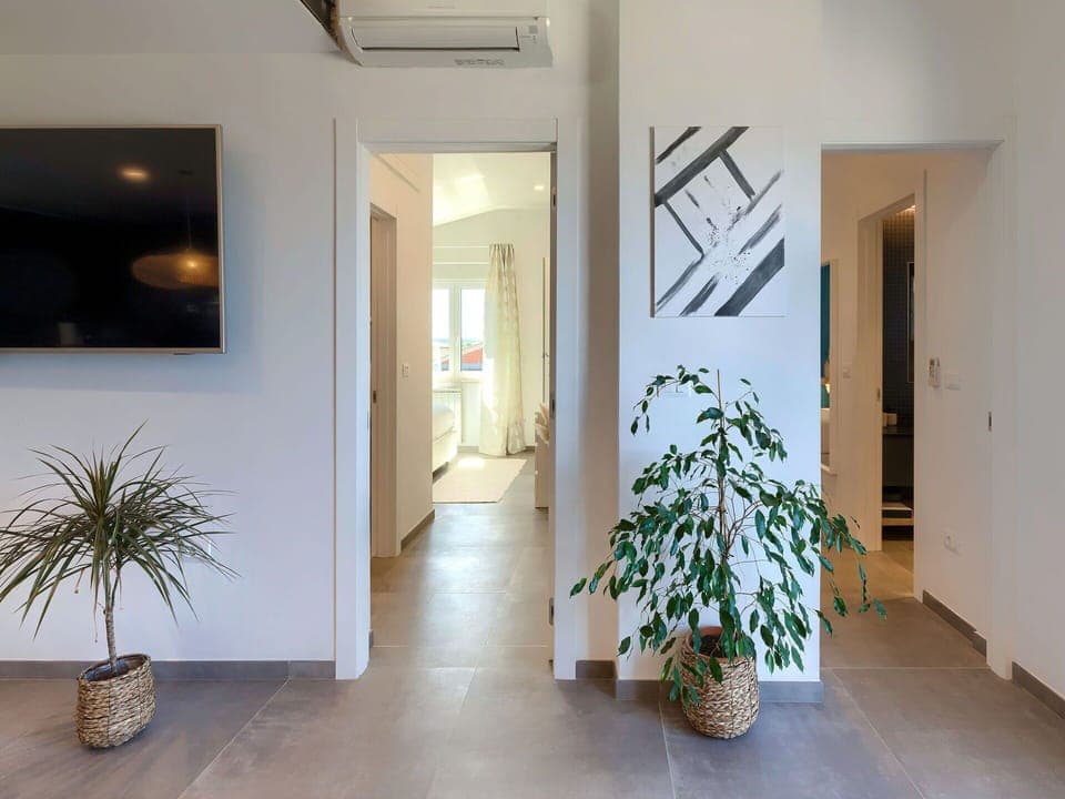 Plant, Houseplant, Building, Flowerpot, Door, Wood, Picture Frame, Flooring, Interior Design