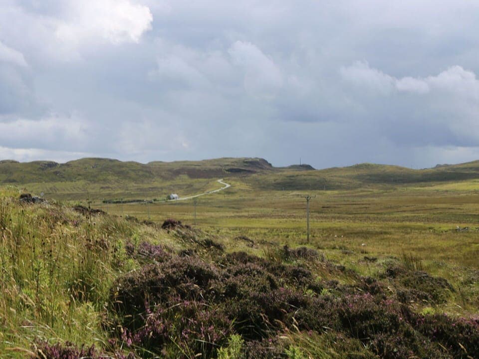 Cloud, Sky, Plant, Natural Landscape, Tree, Grassland, Slope, Grass, Landscape, Mountain