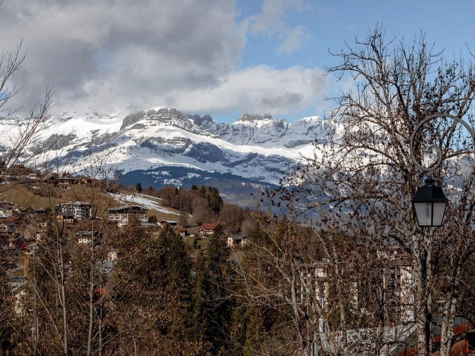 Cloud, Sky, Mountain, Natural Landscape, Plant, Snow, Slope, Wood, Landscape, Twig