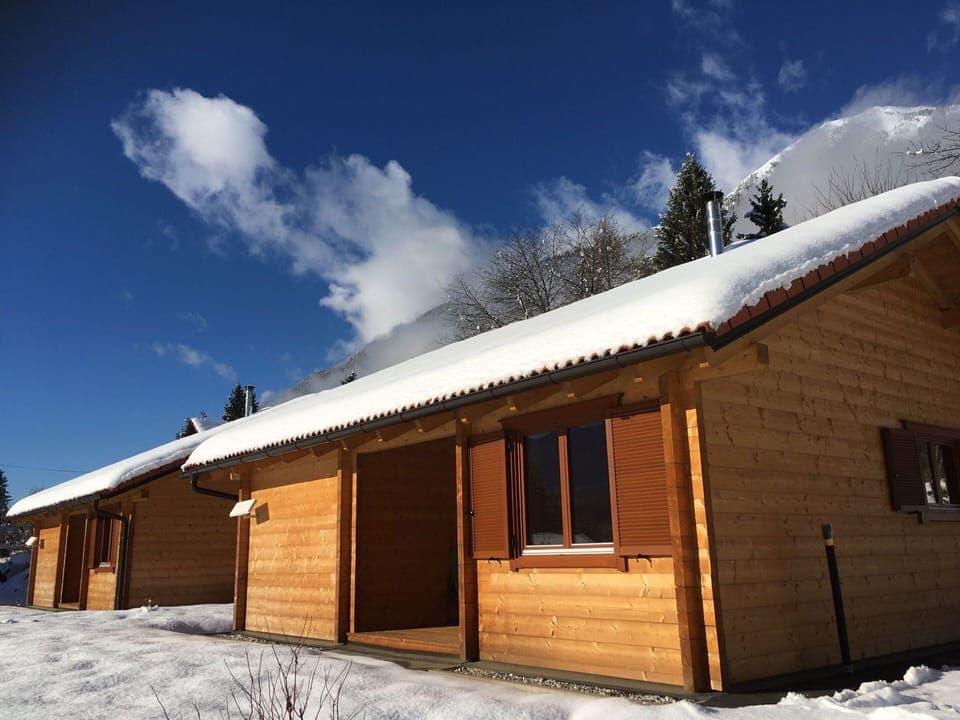 Sky, Cloud, Property, Snow, Building, Window, Wood, Tree, Slope, House