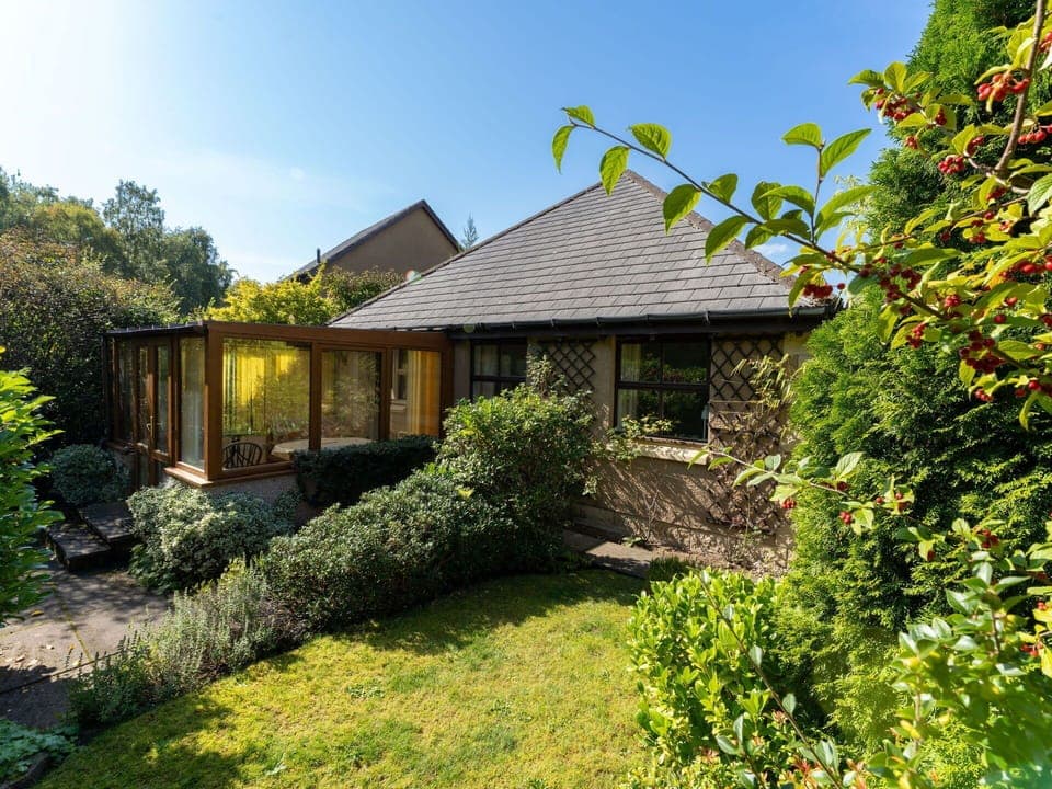 Plant, Sky, Property, Plant Community, Land Lot, Natural Landscape, Window, Tree, Grass, House