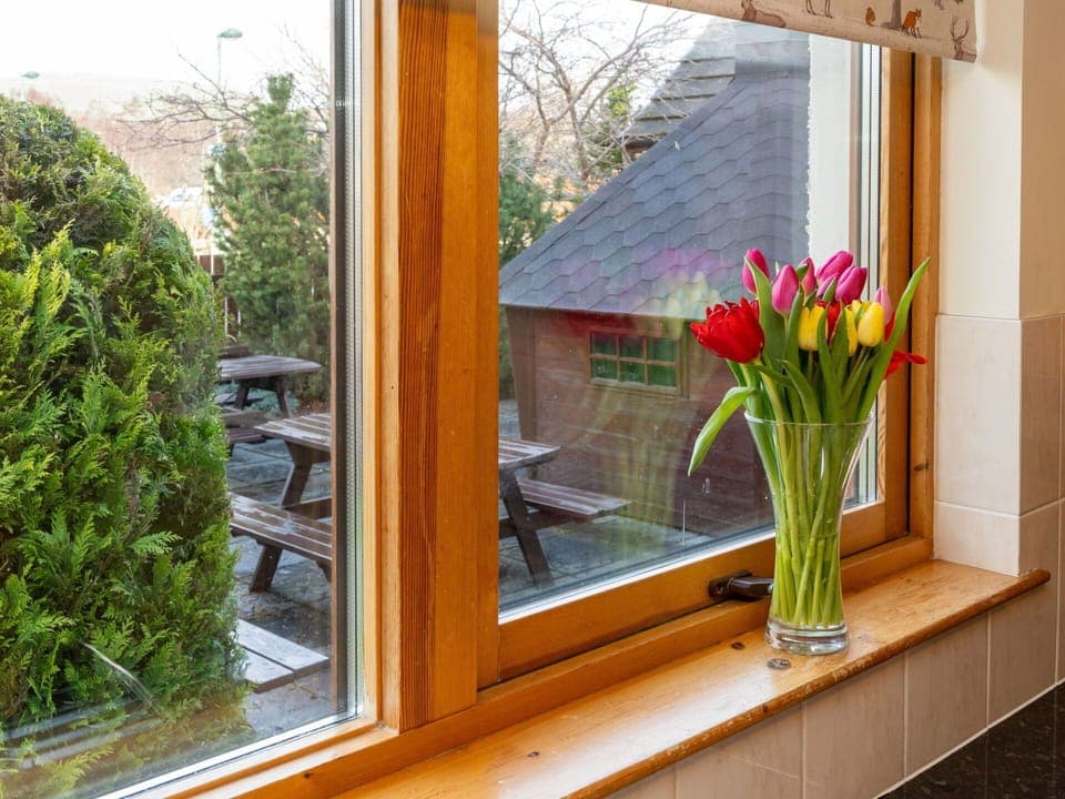 Flower, Plant, Window, Building, Botany, Wood, Interior Design, Vase, Flowerpot