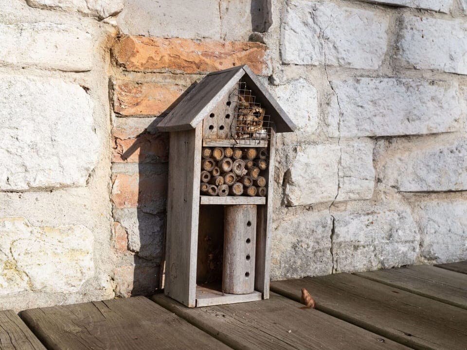 Wood, Window, Brickwork, Brick, Door, Building, Rectangle, Hardwood, Cottage