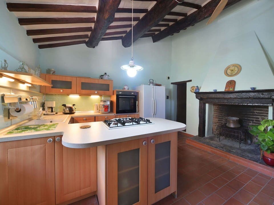 Cabinetry, Furniture, Countertop, Plant, Flowerpot, Table, Wood, Kitchen Stove, Kitchen, Kitchen Appliance