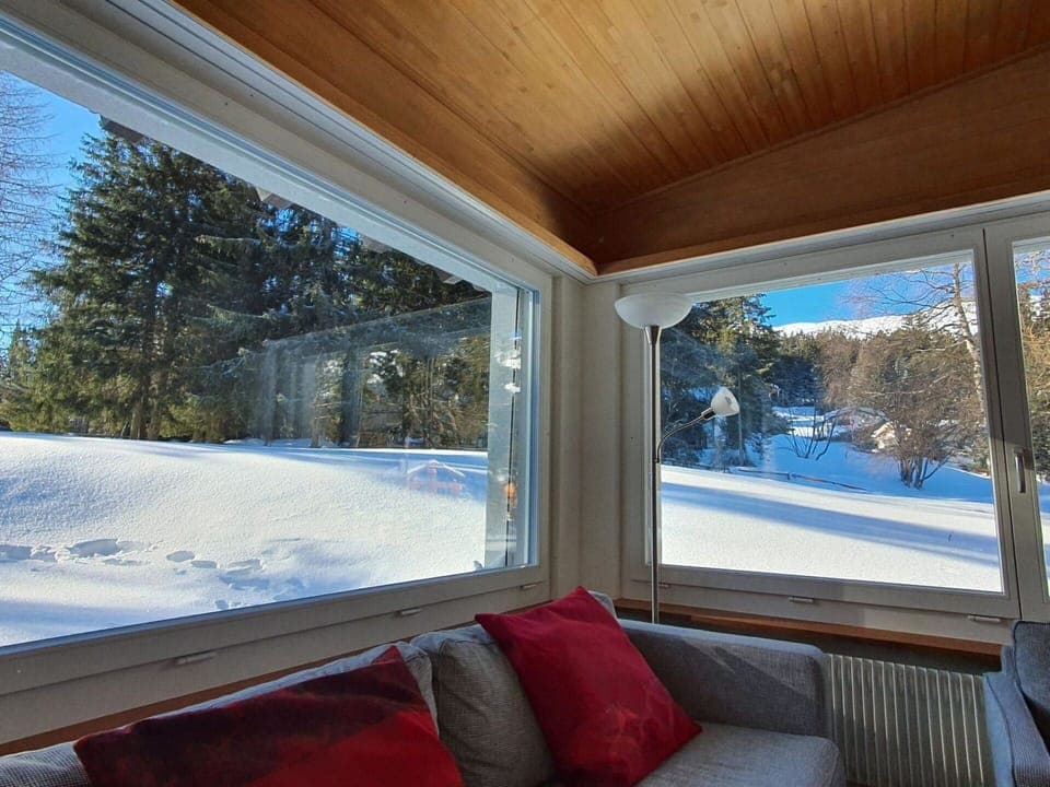 Property, Window, Shade, Snow, Wood, Interior Design, House, Couch, Tree