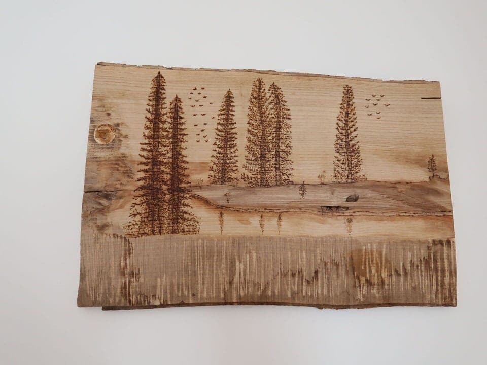 Brown, Rectangle, Wood, Tree, Evergreen, Tints And Shades, Plant, Hardwood, Landscape, Font