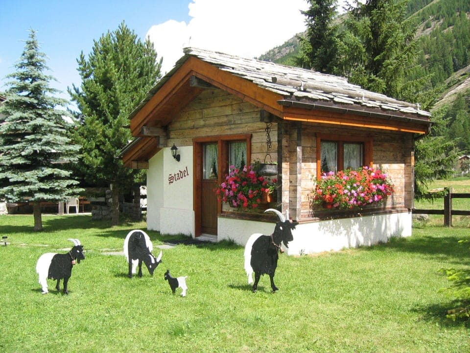 Plant, Property, Sky, Flower, Building, Tree, House, Carnivore, Dog Breed