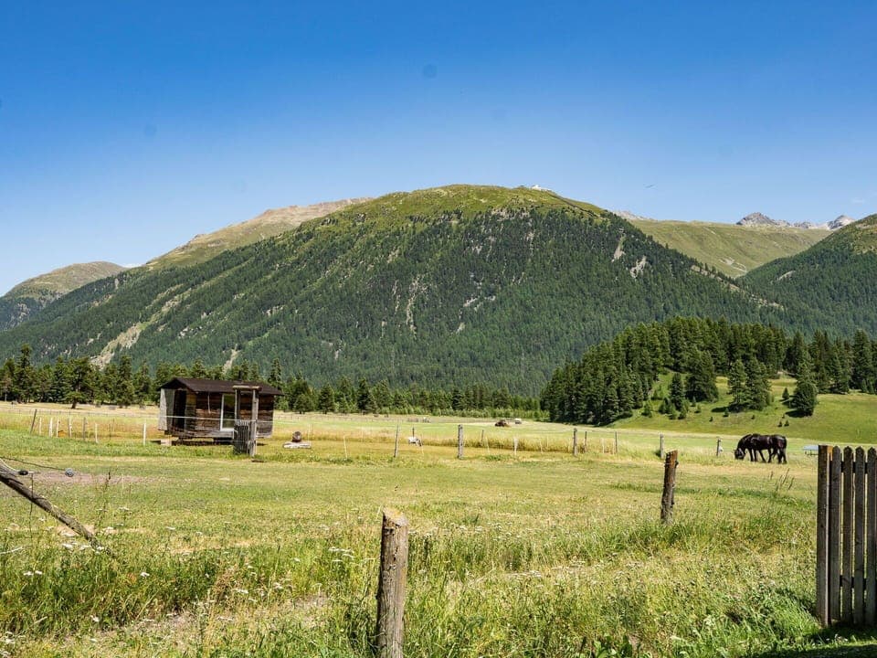 Sky, Mountain, Plant, Ecoregion, Natural Landscape, Land Lot, Tree, Fence, Grass, Grassland