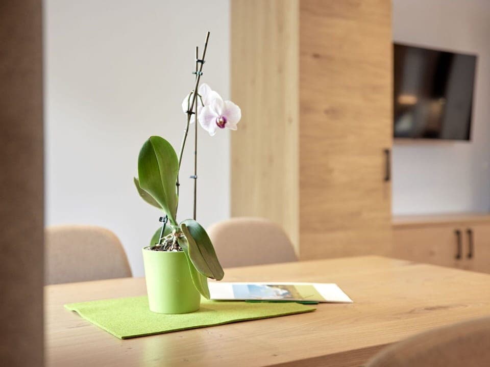 Plant, Table, Houseplant, Wood, Terrestrial Plant, Twig, Petal, Audio Equipment, Flooring, Rectangle