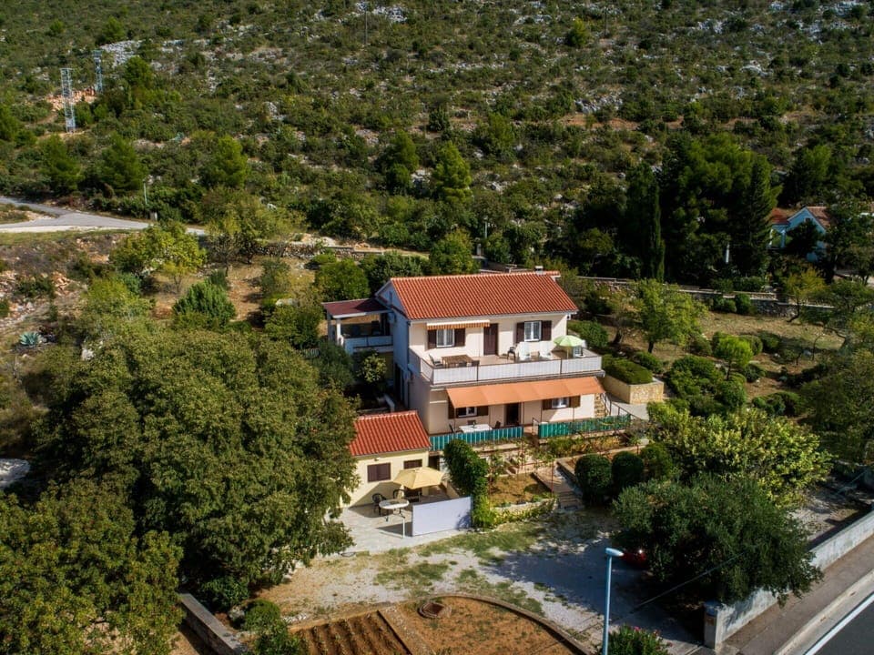 Property, Building, Plant, Tree, Urban Design, Biome, House, Landscape, Neighbourhood, Residential Area