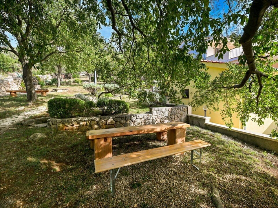 Plant, Plant Community, Table, Tree, Outdoor Bench, Botany, Wood, Natural Landscape, Shade, Outdoor Furniture