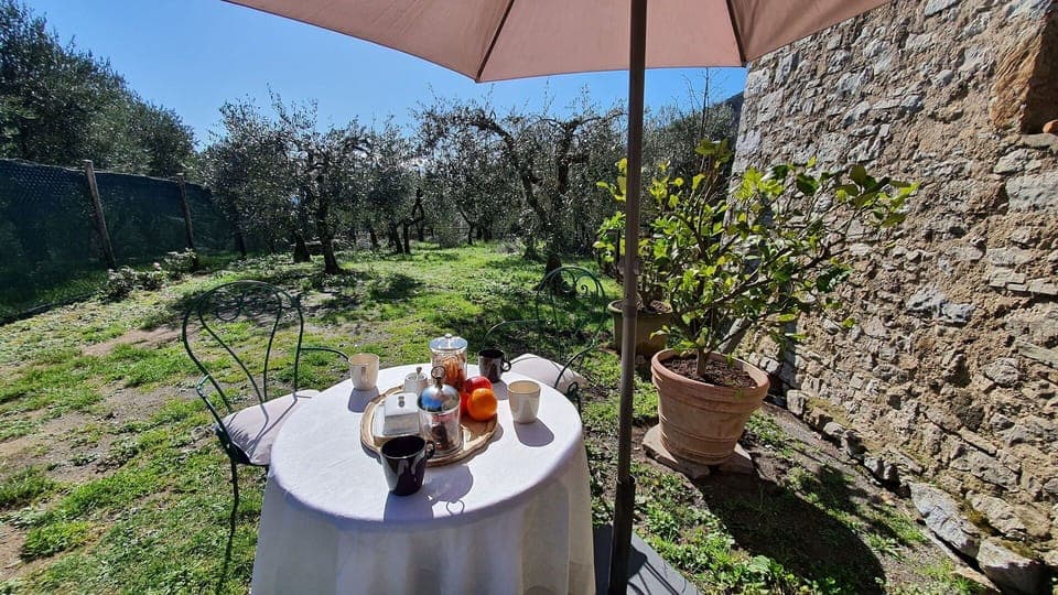 Plant, Property, Flowerpot, Table, Umbrella, Shade, Chair, Outdoor Furniture, Tableware, Building