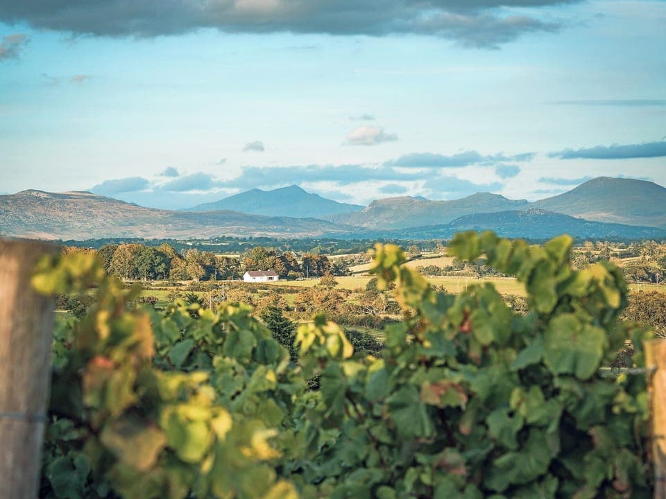 Surrounding area | Golygfa Hudol - Llwynhudol Vineyard Cottages, Pwllheli