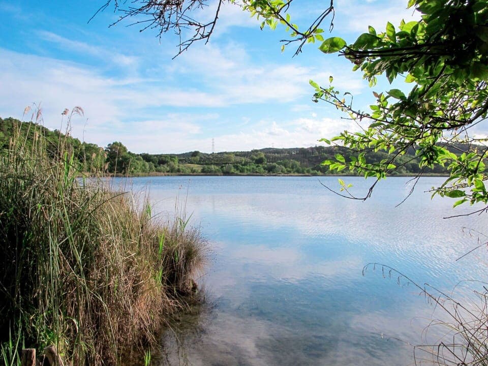Building, Window, Comfort, Wood, Television, Living Room, Interior Design, House, Couch, Floor