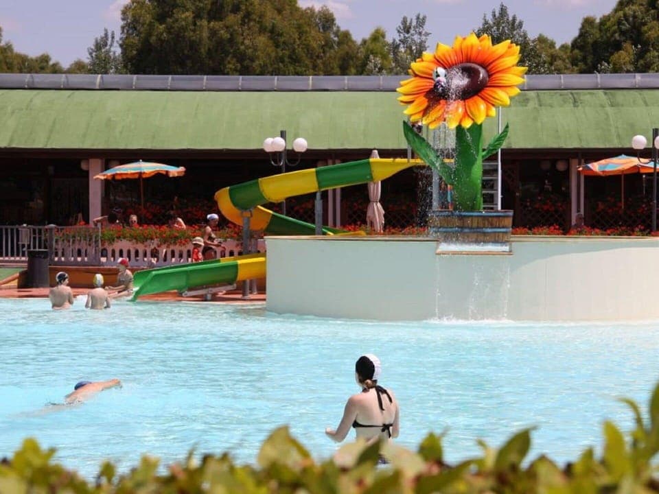 Water, Flower, Plant, Swimming Pool, Green, Sky, Yellow, Tree, Body Of Water, Leisure
