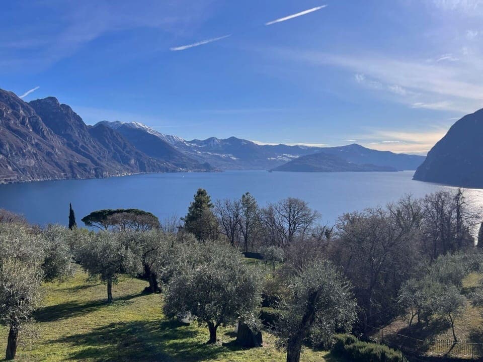 Water, Plant, Property, Building, Swimming Pool, Sky, Azure, Green, Nature, Tree