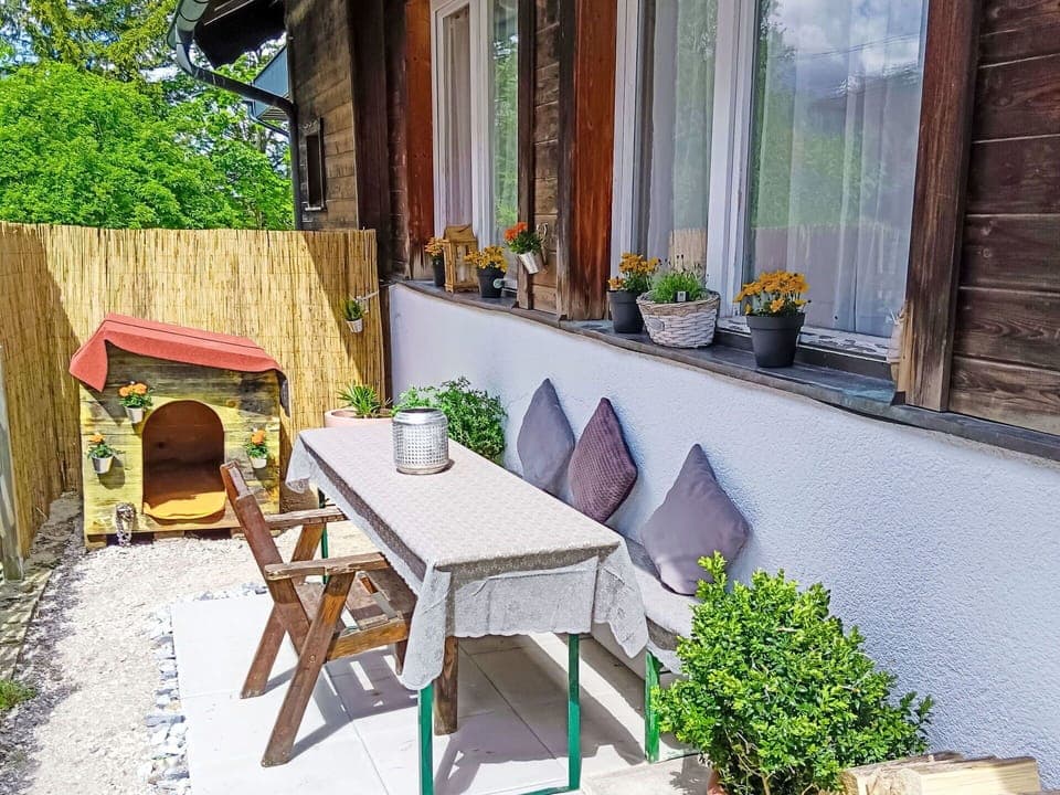 Plant, Table, Furniture, Flowerpot, Building, Wood, Interior Design, Houseplant, Outdoor Furniture, Floor