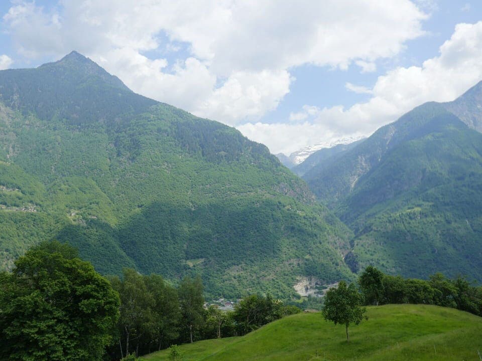 Cloud, Plant, Sky, Building, Daytime, Property, Window, Tree, House, Land Lot