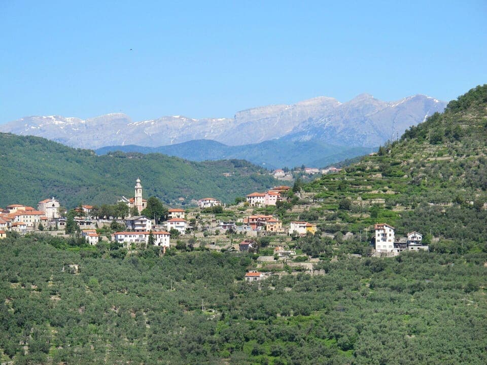 Water, Building, Plant, Sky, Daytime, Property, Swimming Pool, Azure, Window, Tree