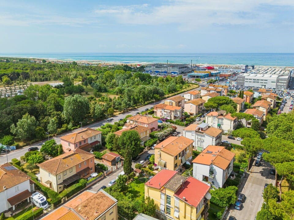 Flower, Plant, Plant Community, Sky, Botany, Petal, Nature, Mountain, Natural Landscape, Vegetation