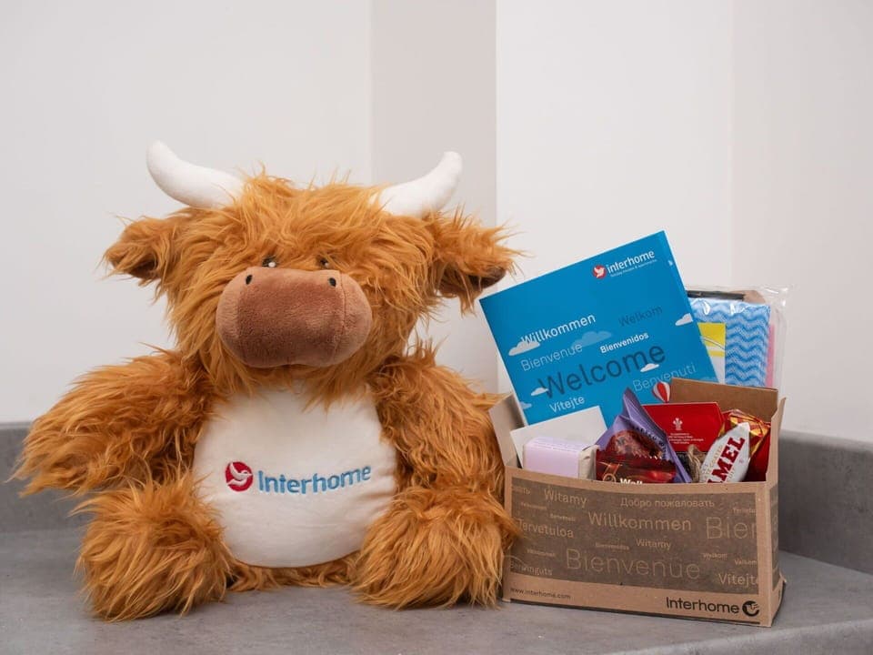 Fawn, Clock, Natural Material