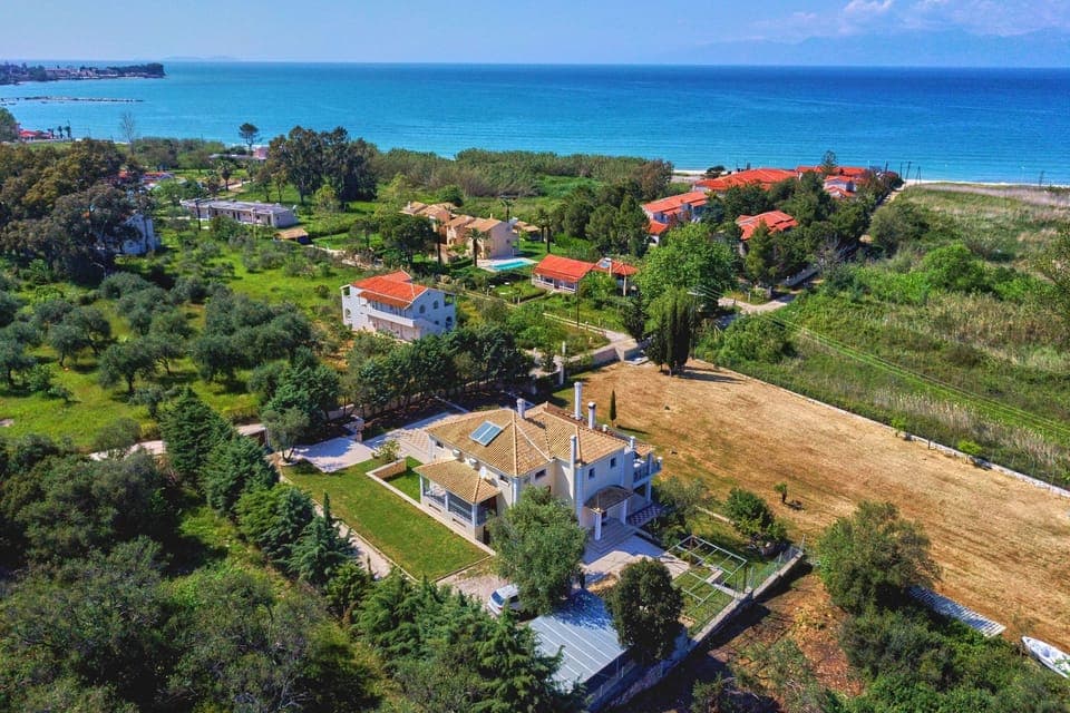 Bird%27s eye paradise