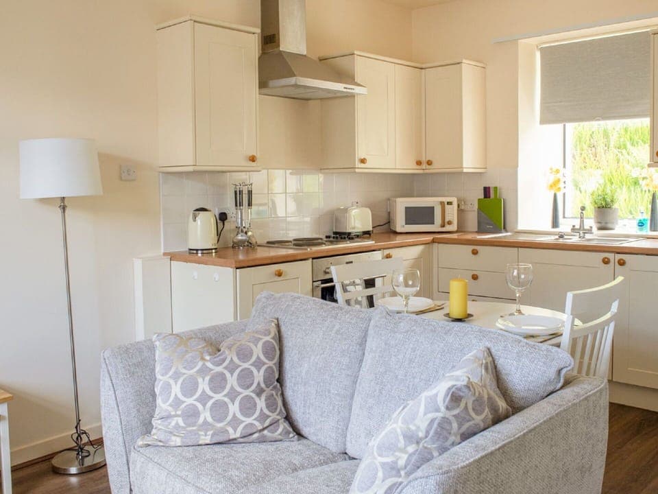 Sky, Cloud, Plant, Flower, Ecoregion, Natural Landscape, Tree, Land Lot, Agriculture, Plain