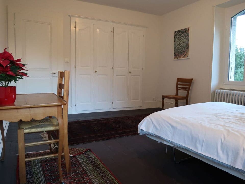 Sky, Building, Plant, Window, Tree, Urban Design, Residential Area, Asphalt, Wheel, Road Surface