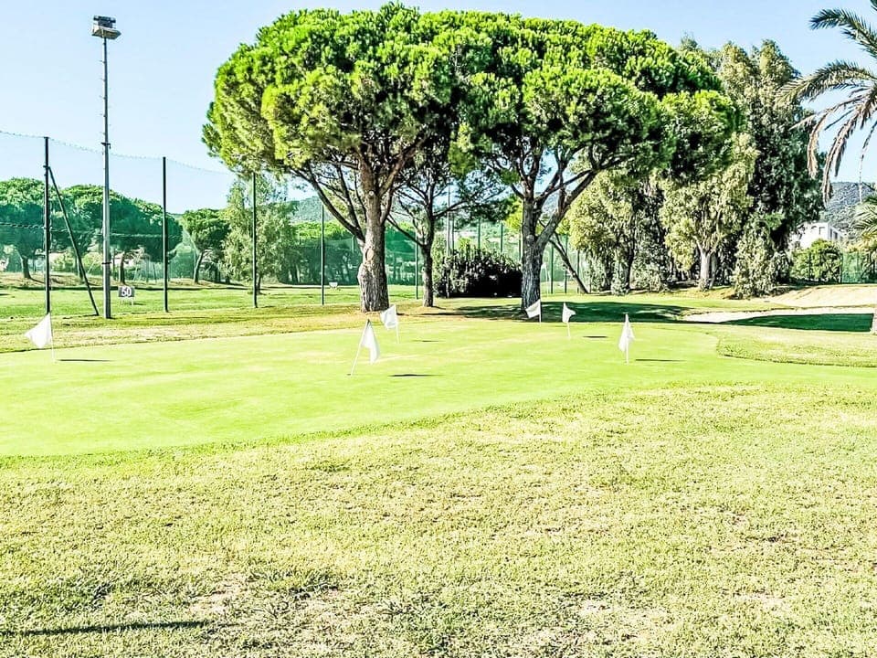 Grass, Land Lot, Lawn, Plain, Park, Landscaping, Shade, Artificial Turf