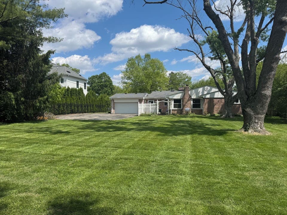 Back yard
