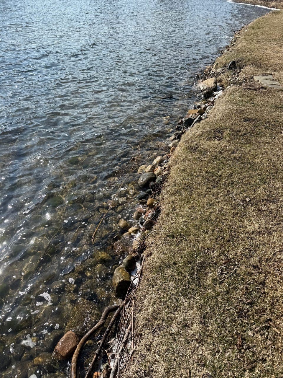 shoreline of lake and property