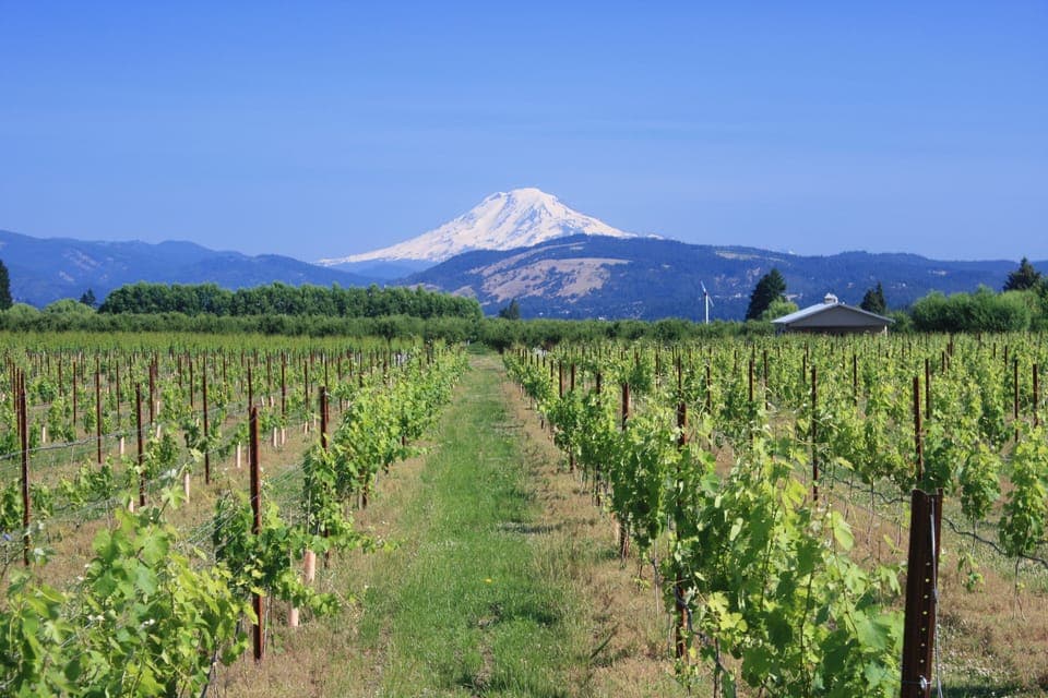 Hood River Fruit Loop in Oregon