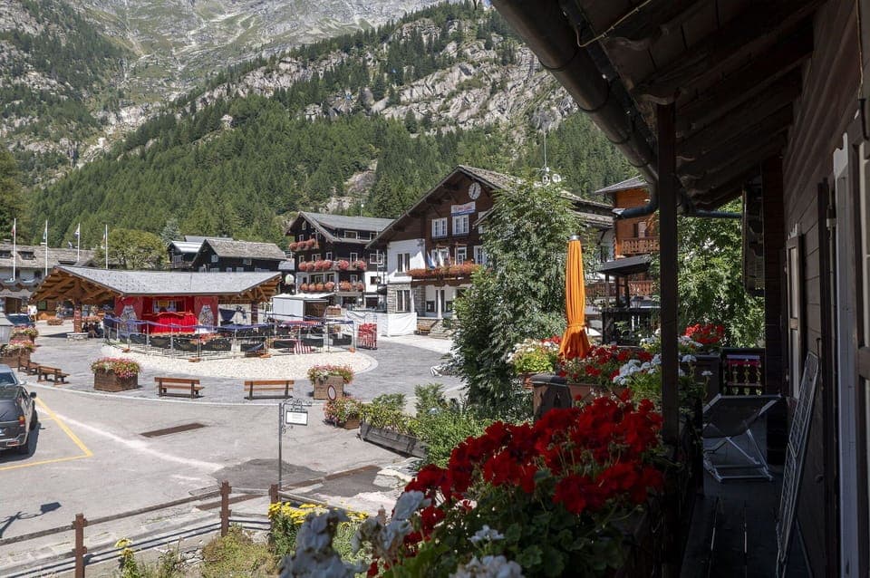 Plant, Mountain, Flower, Flowerpot, Tree, Building, House, Leisure, Landscape