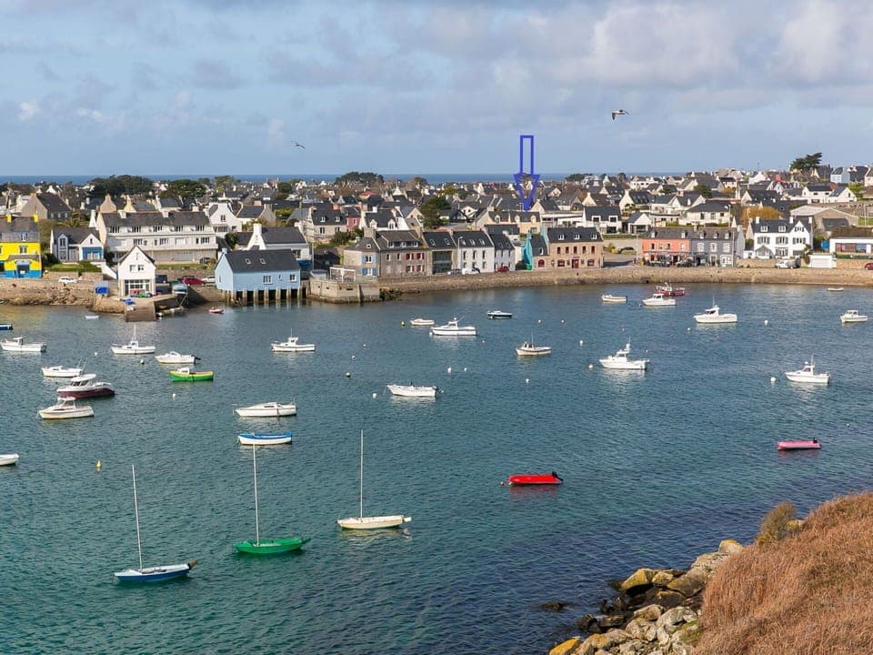 Plant, Furniture, Building, Property, Table, Chair, Shade, Window, Interior Design, Lighting