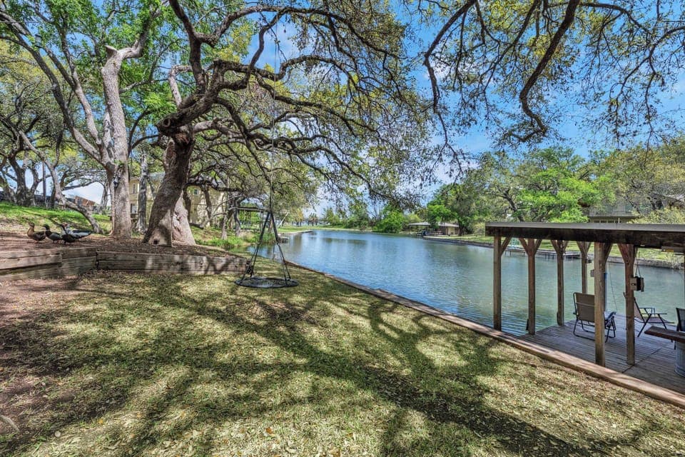 Welcome to the Treetops!