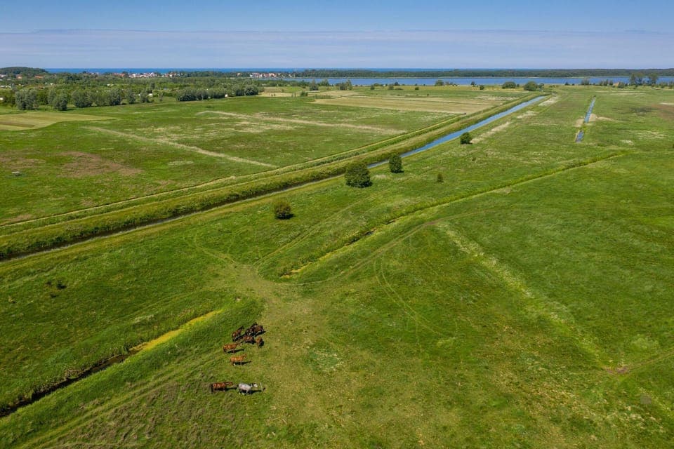 Immediate Surroundings [summer] (<1 km)