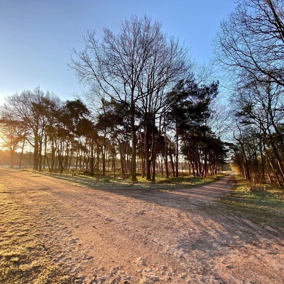 Located at Drunese Duinen nearby