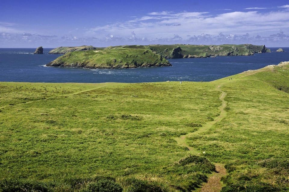 Skomer Island