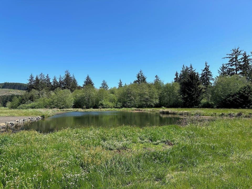 PLEASE READ HOUSE RULES BEFORE BOOKING