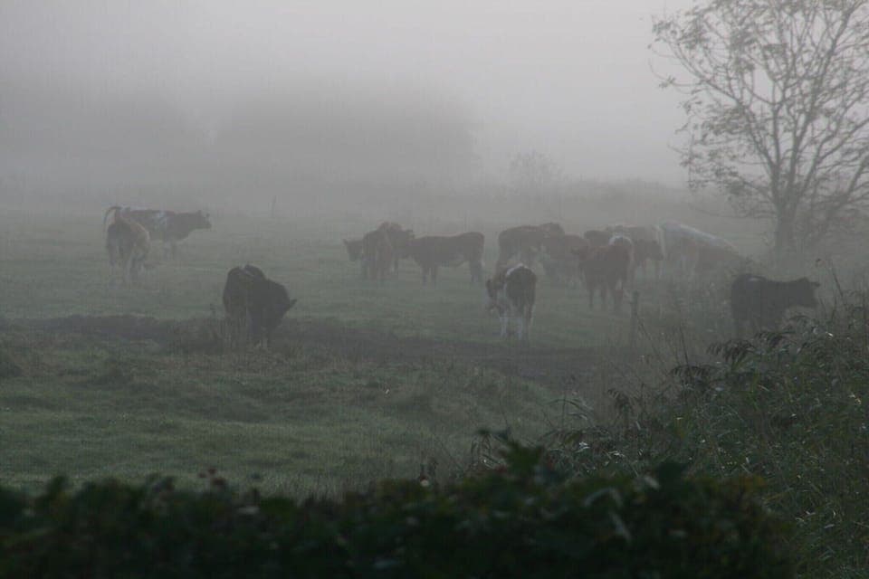 Surroundings [winter] (1-5 km)