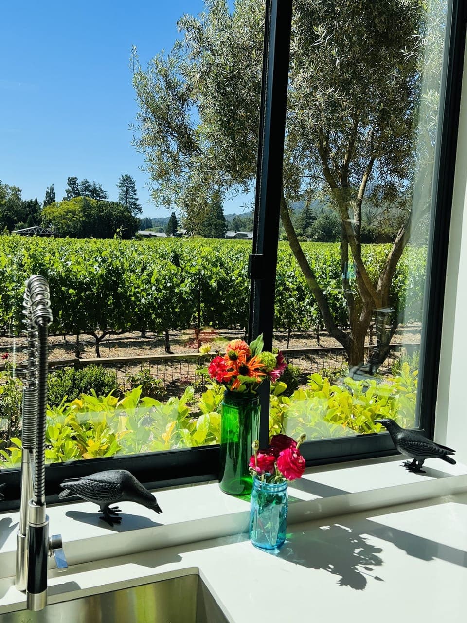 Kitchen View Window