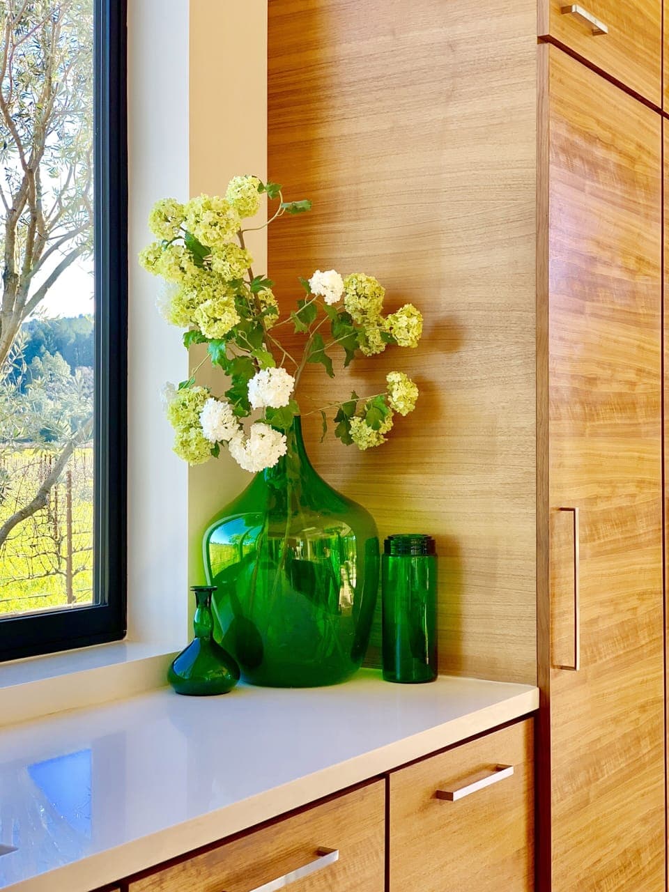 Kitchen View Window