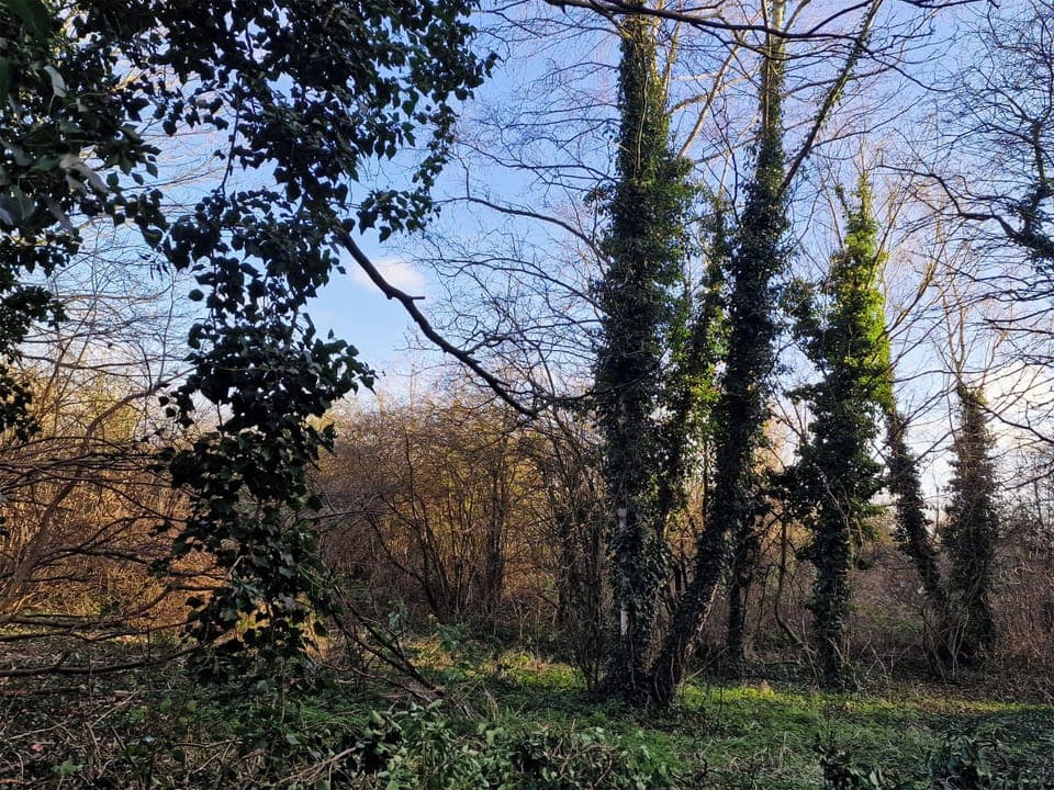 Surrounding area | Forest View Cottage, Bulwell